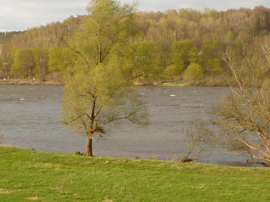 Elbe-Ferien 2 Daire Tespe Oda fotoğraf